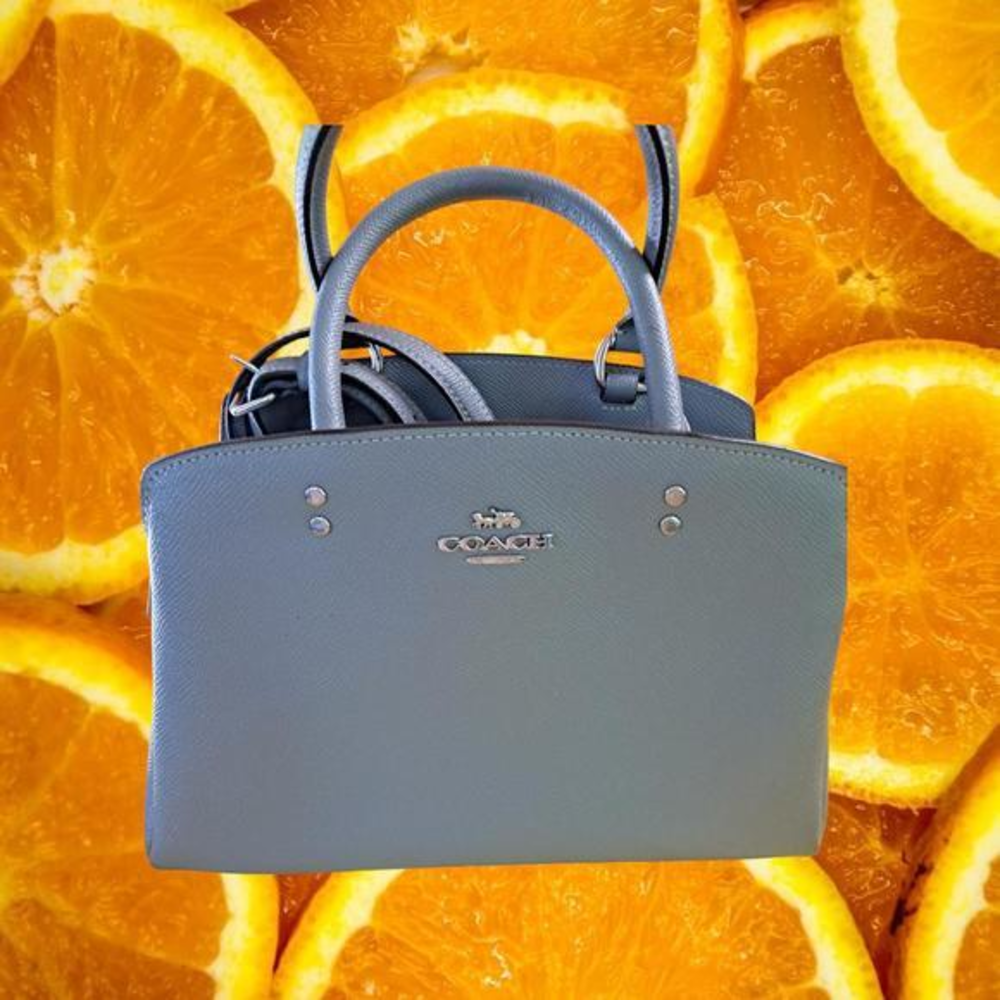 Coach Gray Mini Lillie‎ Carryall With Handle and Shoulder Strap